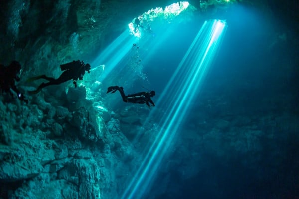 La Cueva Buceo Isla Del Cano Costa Rica Dive And Surf