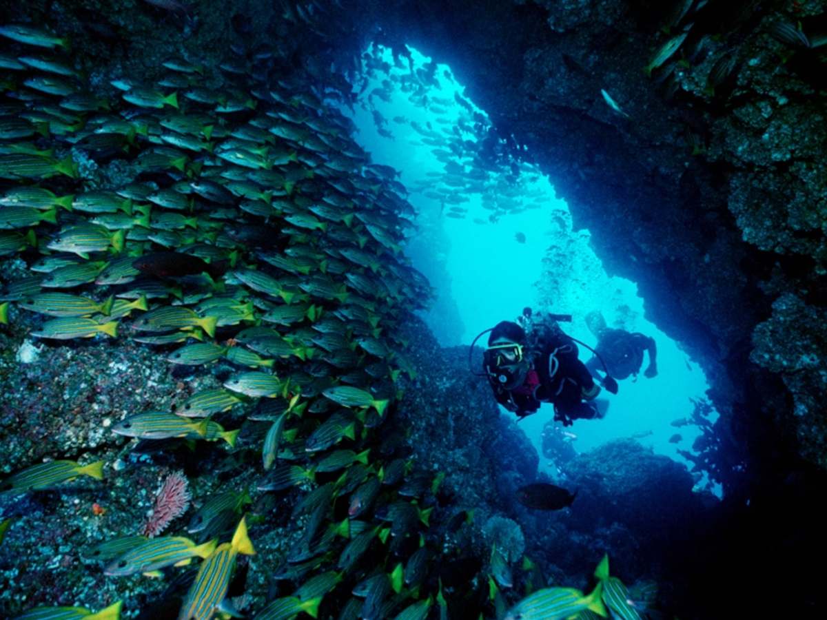 Cocos Island Costa Rica