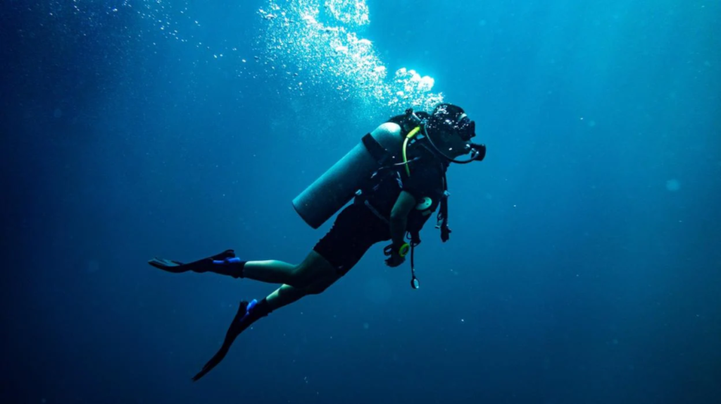 Buceo con traje corto