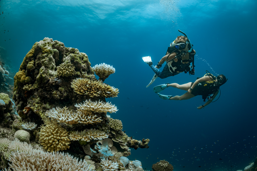 Diving without a suit