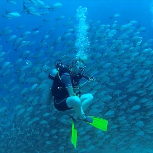 cano-island-diving - Costa Rica Dive and Surf