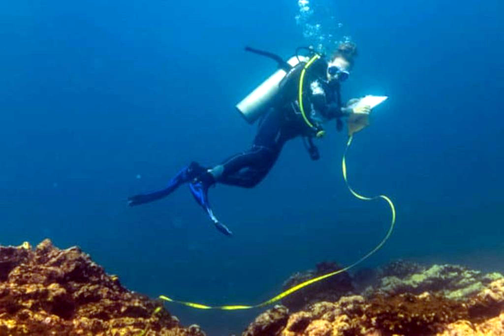 Marine biologist takes measurements on Caño Island