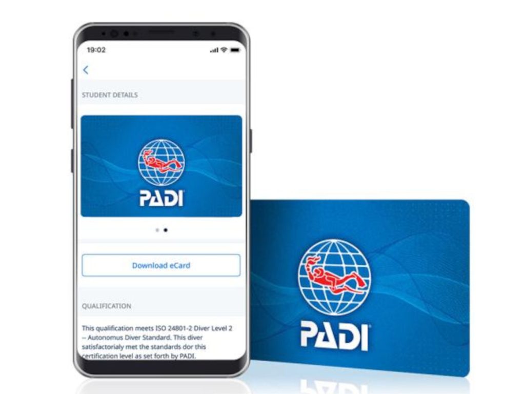 padi virtual and physical card