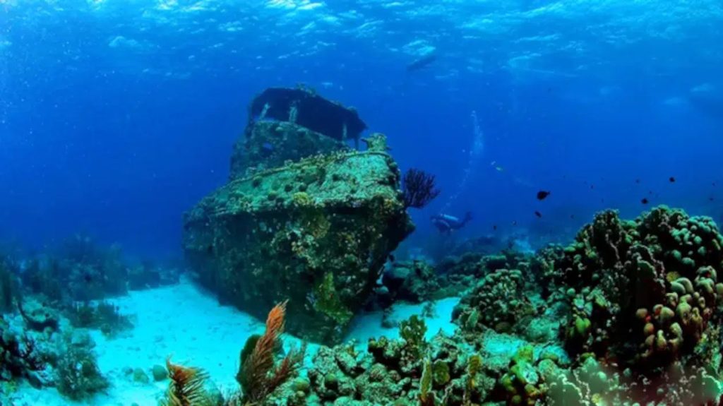 shipwreck and coral reef