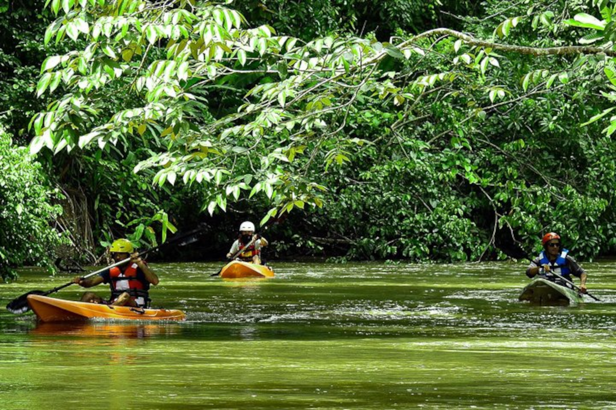 Kayak en Corcovado