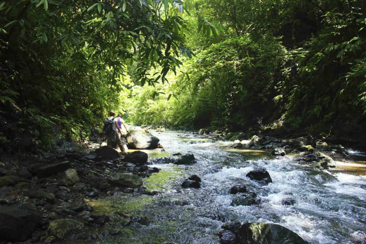 corcovado el tigre dos brazos