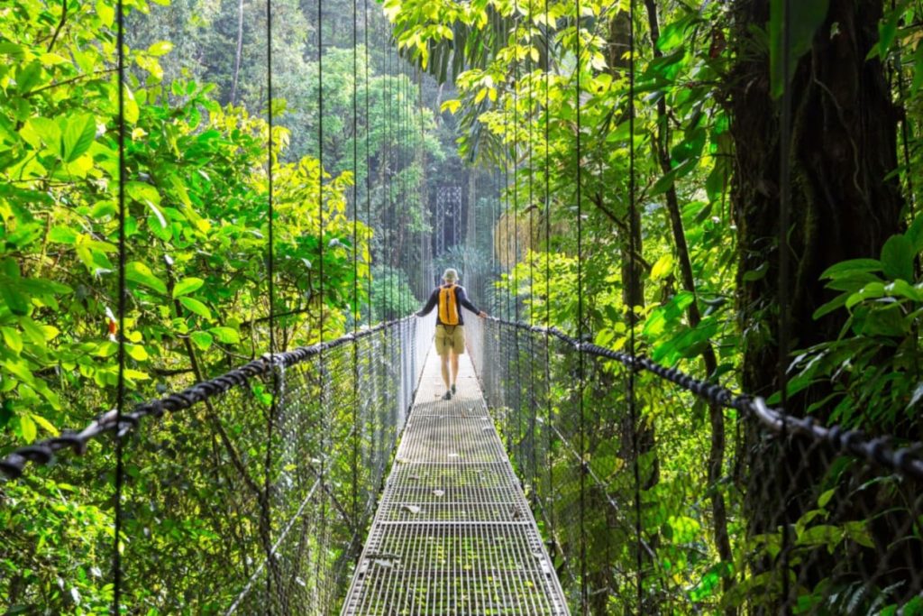 corcovado national park