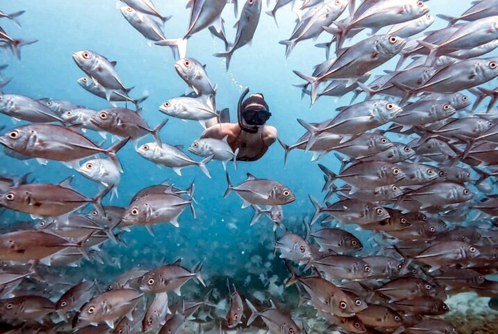 Snorkeling Osa Peninsula