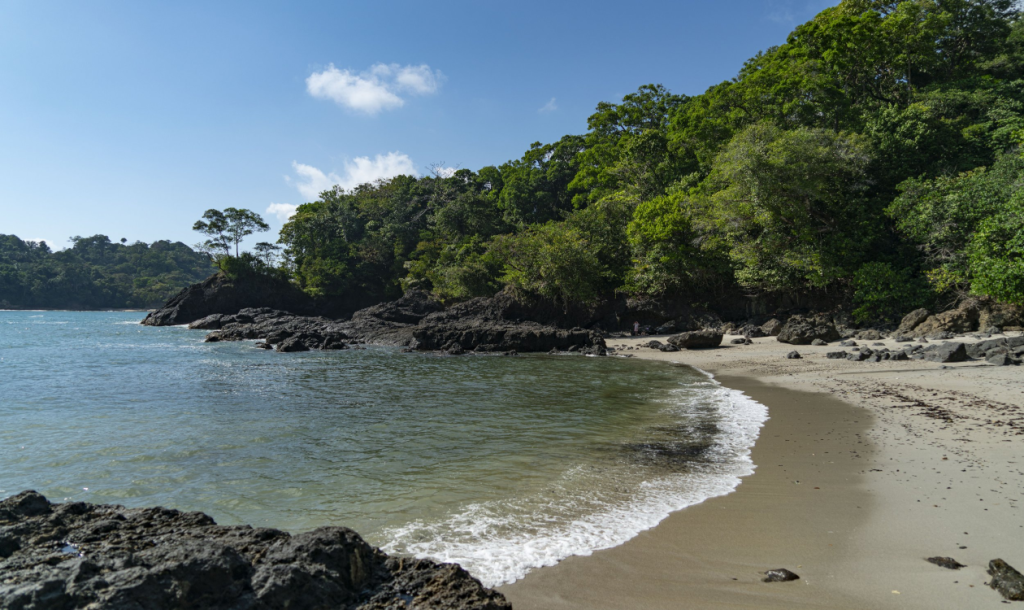 operadores-turisticos-ocean-unlimited-para-conocer-las-mejores-playas